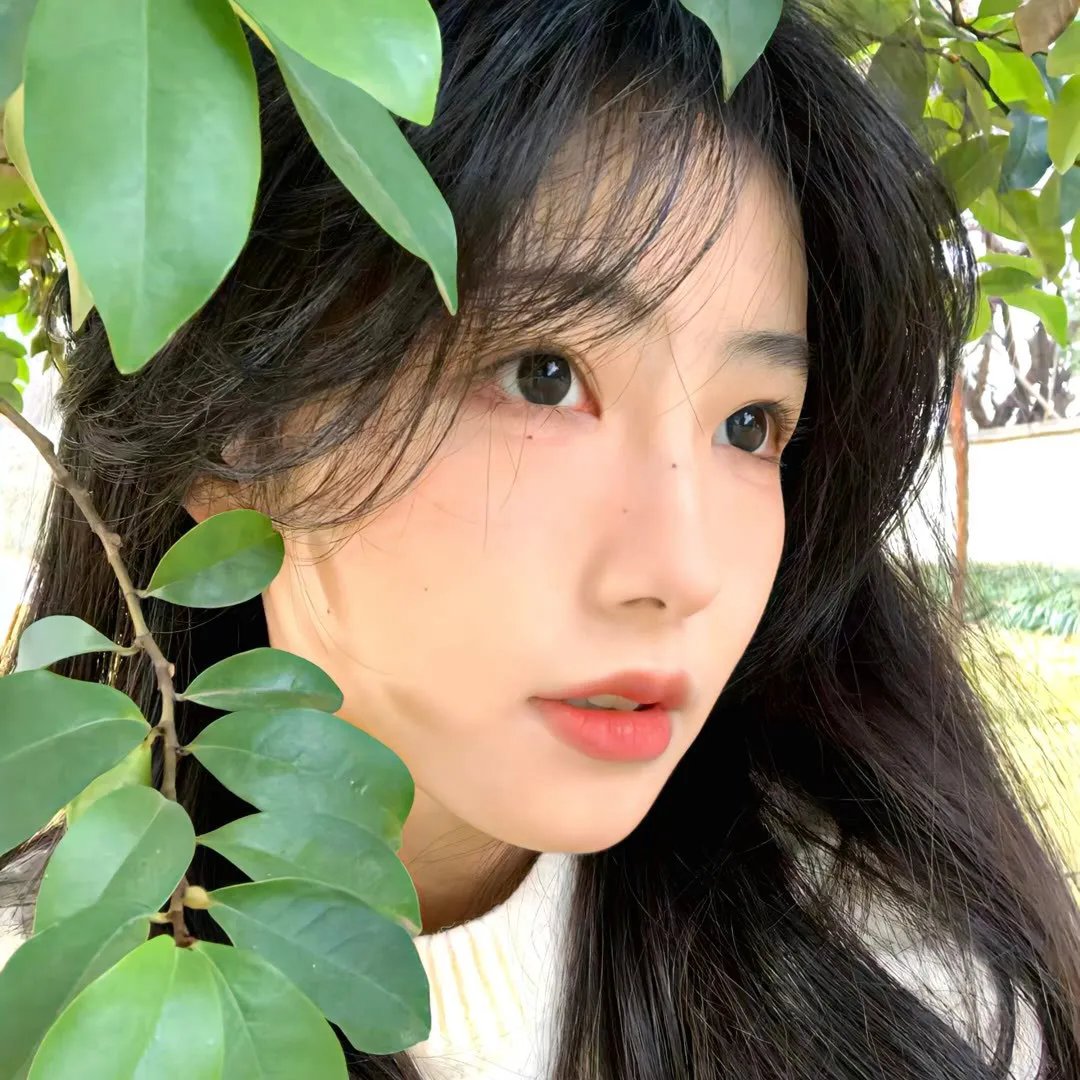 诡影访客