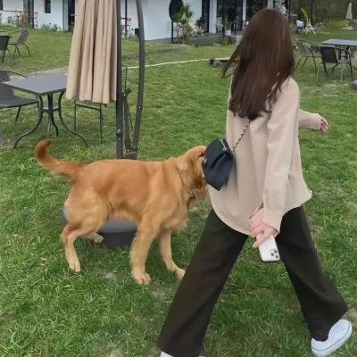 三面娜迦